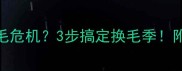乐哈士奇掉毛危机3步搞定换毛季附护理全攻略