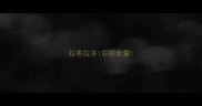 拉布拉多1岁前食量