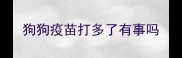 狗狗疫苗打多了有事吗