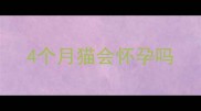 4个月猫会怀孕吗