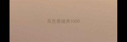 灰色泰迪卖1000
