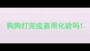 狗狗打完疫苗用化验吗