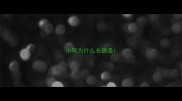 小狗为什么长跳蚤