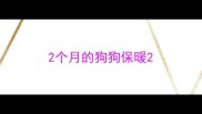 2个月的狗狗保暖