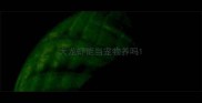 大龙虾能当宠物养吗