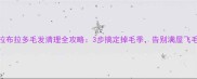 拉布拉多毛发清理全攻略3步搞定掉毛季告别满屋飞毛