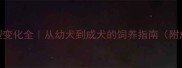 哈士奇体型变化全从幼犬到成犬的饲养指南附成长对比图