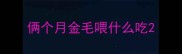 俩个月金毛喂什么吃