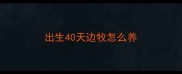 出生40天边牧怎么养