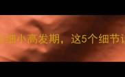 幼犬必看3月龄后细小高发期这5个细节让狗狗远离致命病毒