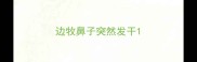 边牧鼻子突然发干