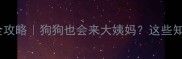 母犬生理期全攻略狗狗也会来大姨妈这些知识新手必看