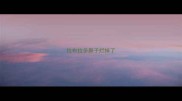 拉布拉多鼻子烂掉了