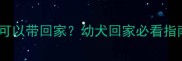 狗狗接种疫苗后几天可以带回家幼犬回家必看指南附疫苗时间表