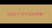 边牧5个月可以吃两餐