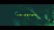 小狗一进笼子就叫