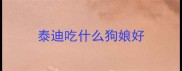 泰迪吃什么狗娘好