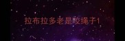拉布拉多老是咬绳子
