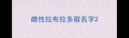 雌性拉布拉多取名字