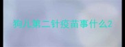 狗儿第二针疫苗事什么