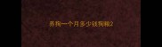 养狗一个月多少钱狗粮