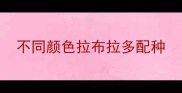 不同颜色拉布拉多配种