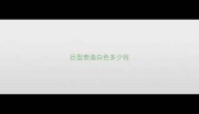 巨型泰迪白色多少钱