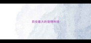 西安最大的宠物市场
