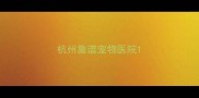 杭州靠谱宠物医院