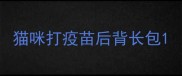 猫咪打疫苗后背长包