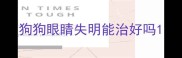 狗狗眼睛失明能治好吗