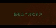 金毛五个月吃多少