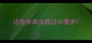 边牧体高会超过45厘米