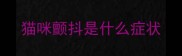 猫咪颤抖是什么症状