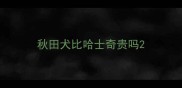 秋田犬比哈士奇贵吗