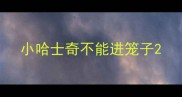 小哈士奇不能进笼子