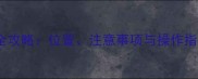 猫咪腹腔注射全攻略位置注意事项与操作指南附图解
