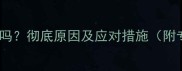 金吉拉掉毛严重吗彻底原因及应对措施附专业护理指南