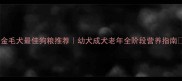 金毛犬最佳狗粮推荐幼犬成犬老年全阶段营养指南