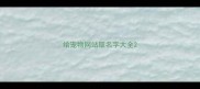 给宠物网站取名字大全