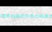 惠比特犬几个月停止长科学喂养指南助你养出标准体态附停止生长期护理秘籍
