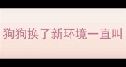 狗狗换了新环境一直叫