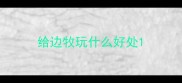 给边牧玩什么好处