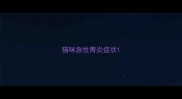 猫咪急性胃炎症状