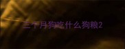 三个月狗吃什么狗粮