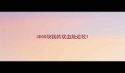 3000块钱的双血统边牧