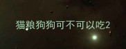 猫粮狗狗可不可以吃