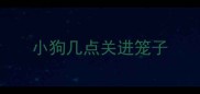 小狗几点关进笼子