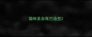 猫咪美容尾巴造型