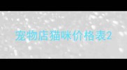 宠物店猫咪价格表